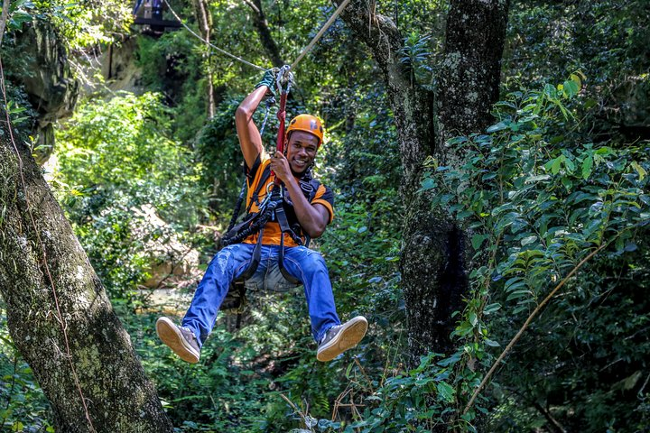 Exploring our indigenous forest